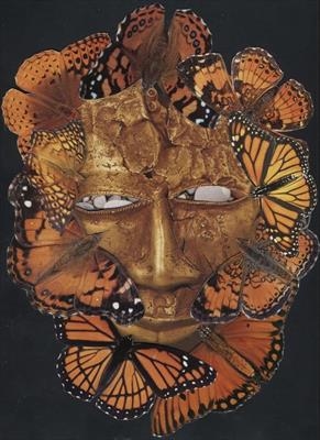 butterfly mask