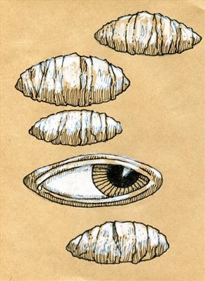 small drawing 57