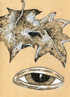 small drawing 67