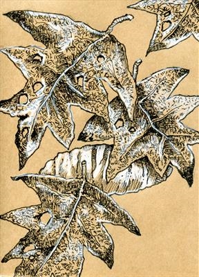 small drawing 86