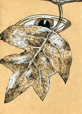 small drawing 89