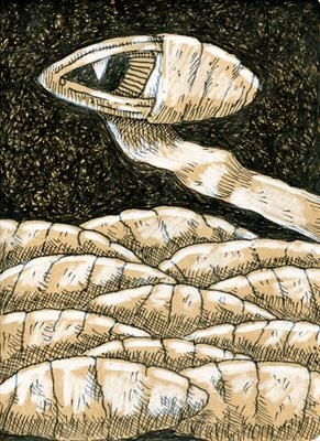small drawing 102