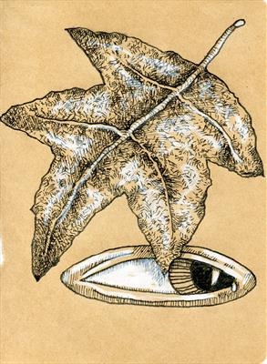 small drawing 103