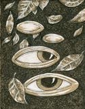 Larger/Small drawing 62 by steve newton, Drawing, Pen on Paper
