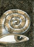 small drawing 100 by steve newton, Drawing, Pen on Paper