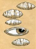 small drawing 57 by steve newton, Drawing, Pen on Paper
