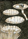 small drawing 93 by steve newton, Drawing, Pen on Paper