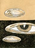 small drawing 96 by steve newton, Drawing, Pen on Paper
