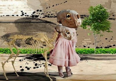 collage2020Z by steve newton, Giclee Print, direct digital print
