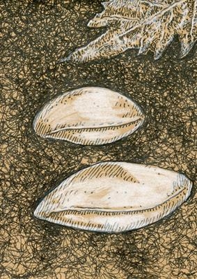 small drawing 51 by steve newton, Drawing, Pen on Paper